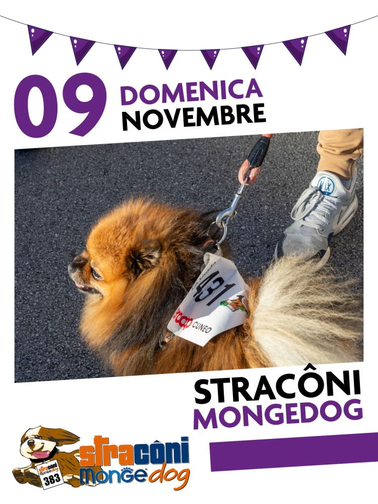 Stracôni 2025 - Stracôni MongeDog 9 novembre